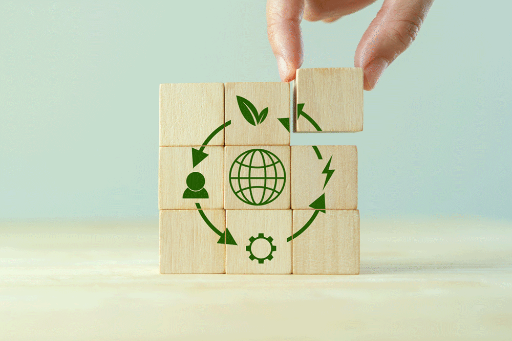 circular economy packaging for effective waste reduction