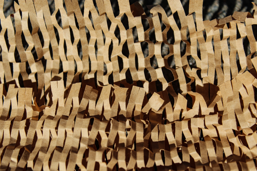 operational efficiency packaging to reduce distribution costs