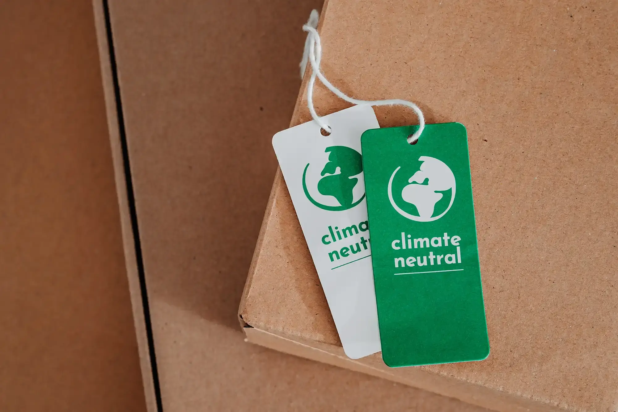 Your guide to eco friendly packaging